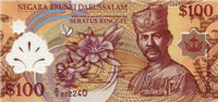100 Brunei dollars (Obverse)