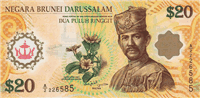 20 Brunei dollars (Obverse)